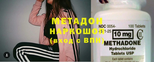 прущие грибы Армянск