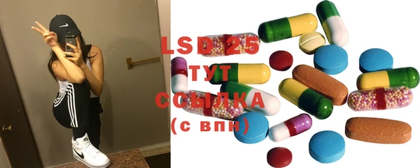spice Аркадак