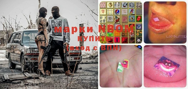 spice Аркадак
