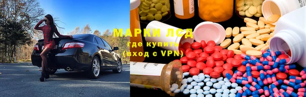 прущие грибы Армянск